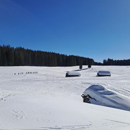 Villa Pokljuka Zgornje Gorje 外观 照片