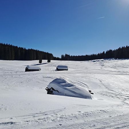 Villa Pokljuka Zgornje Gorje 外观 照片