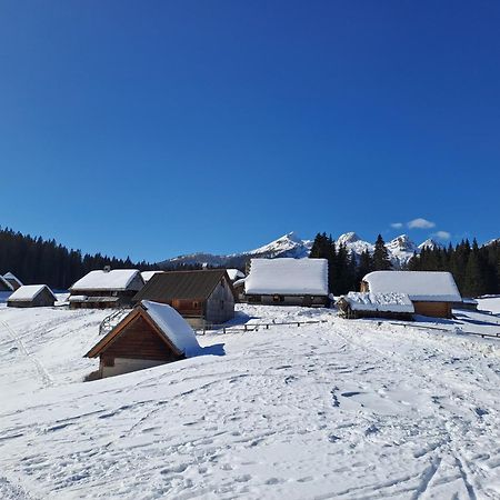 Villa Pokljuka Zgornje Gorje 外观 照片
