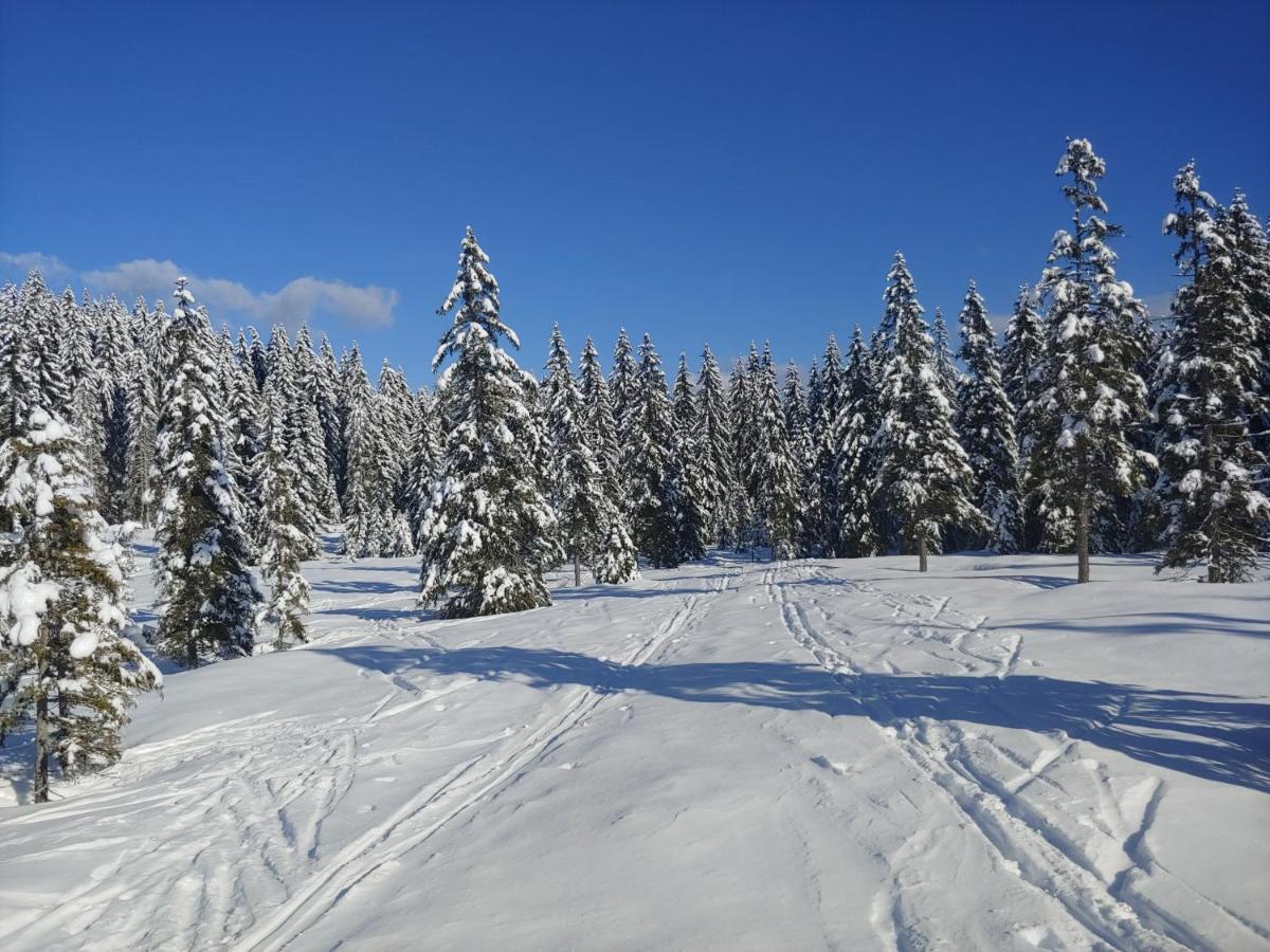Villa Pokljuka Zgornje Gorje 外观 照片