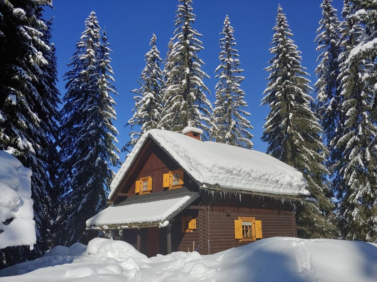 Villa Pokljuka Zgornje Gorje 外观 照片