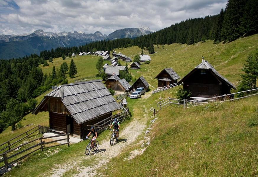 Villa Pokljuka Zgornje Gorje 外观 照片