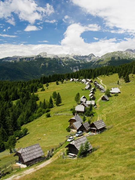 Villa Pokljuka Zgornje Gorje 外观 照片