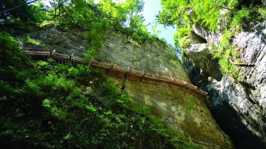 Villa Pokljuka Zgornje Gorje 外观 照片