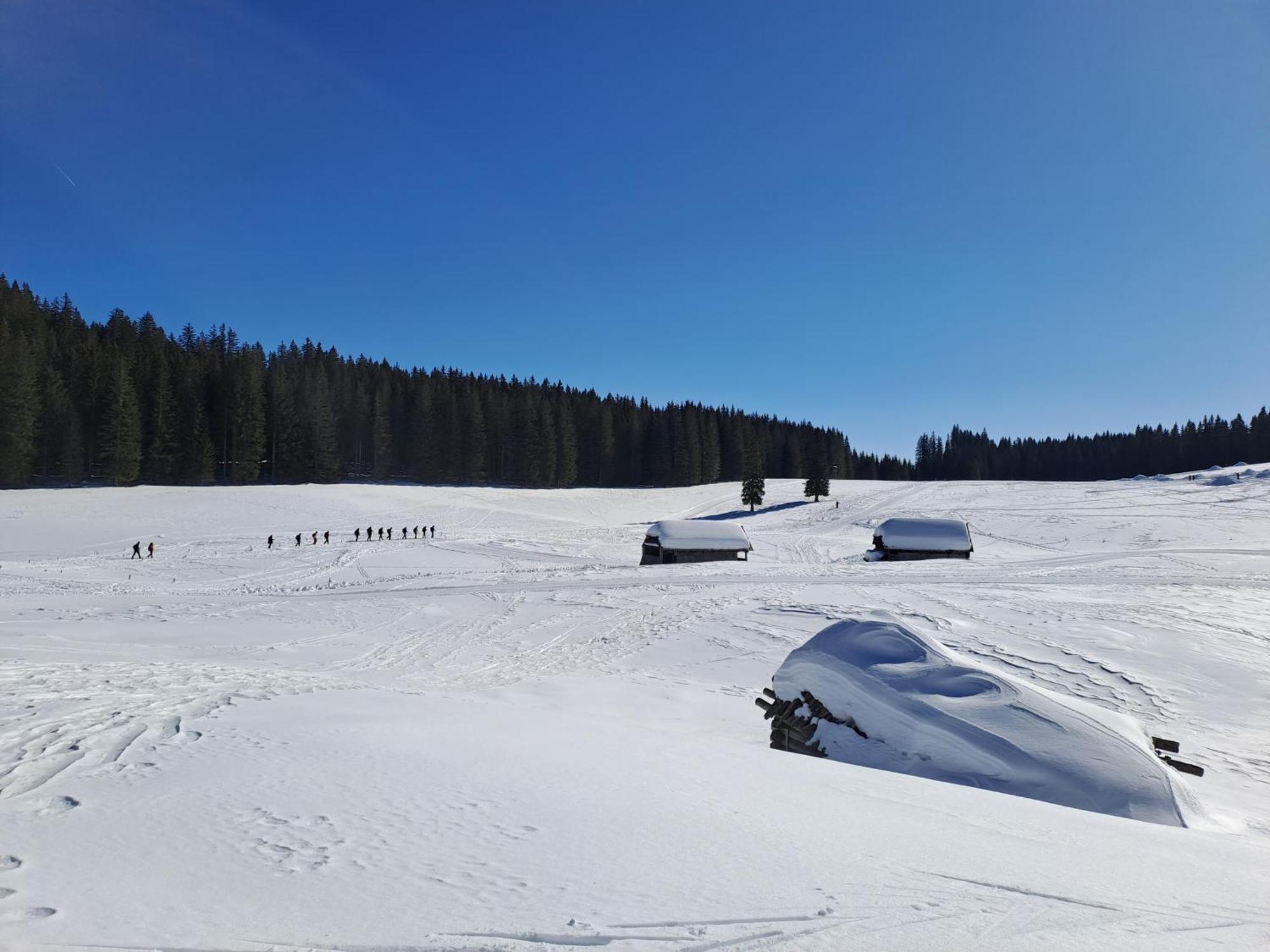 Villa Pokljuka Zgornje Gorje 外观 照片
