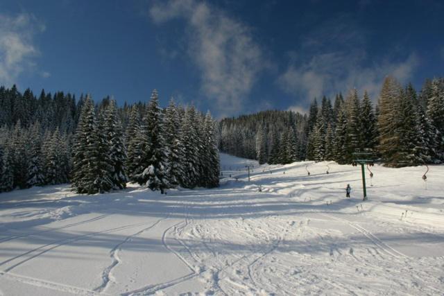 Villa Pokljuka Zgornje Gorje 外观 照片