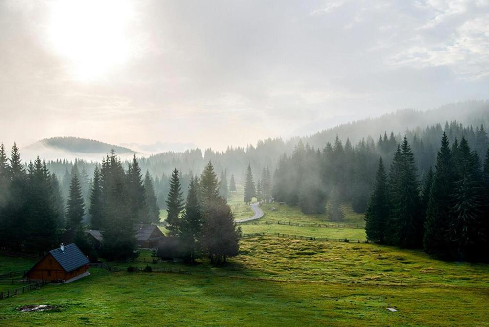 Villa Pokljuka Zgornje Gorje 外观 照片