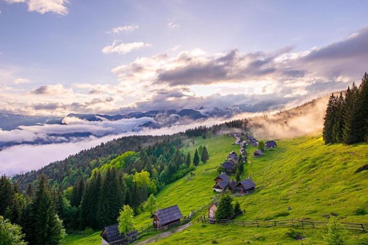 Villa Pokljuka Zgornje Gorje 外观 照片
