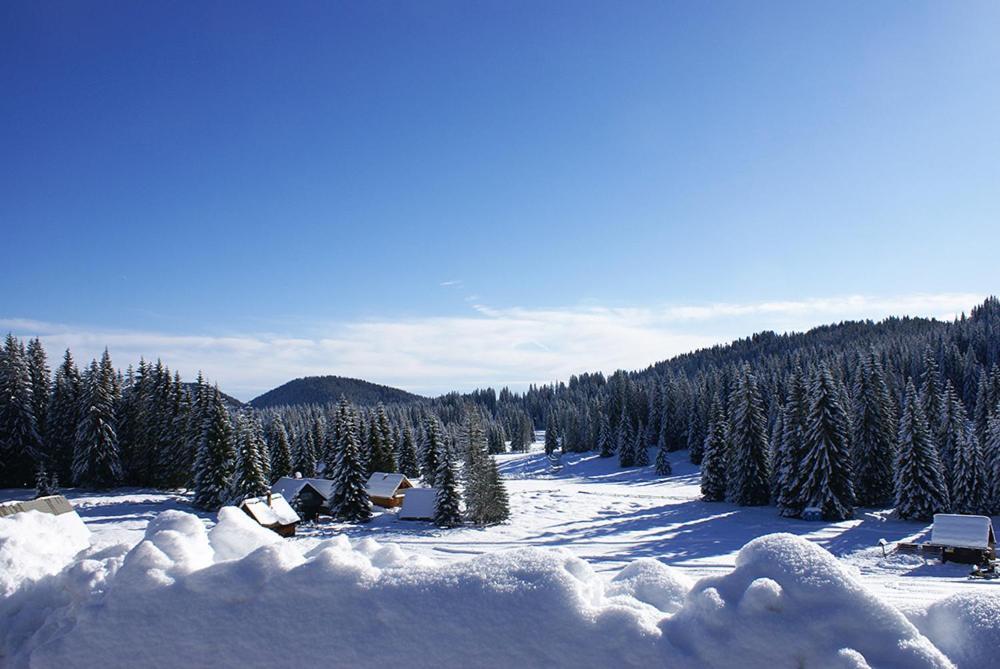 Villa Pokljuka Zgornje Gorje 外观 照片