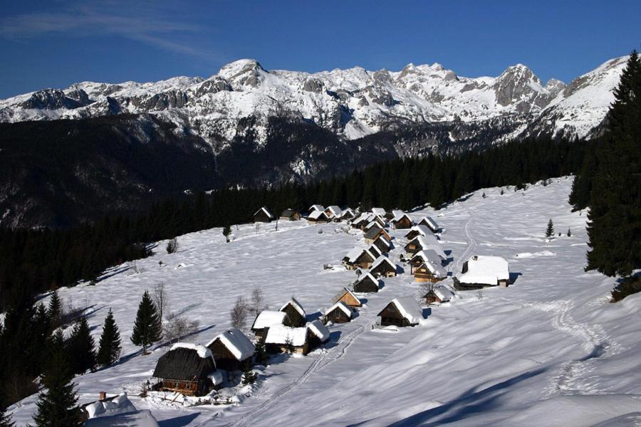Villa Pokljuka Zgornje Gorje 外观 照片