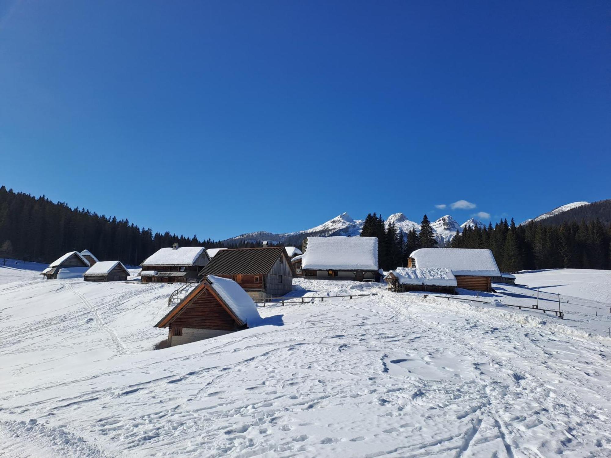 Villa Pokljuka Zgornje Gorje 外观 照片
